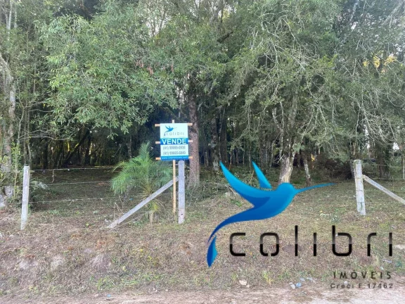 Chácara à Venda, 3.200 m² em Ribeirãozinho - Agudos Do Sul