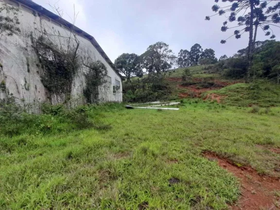 Imagem Fazenda à venda em Antônio Carlos, 540ha