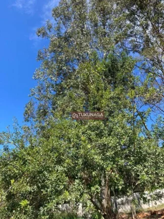 Imagem Lindo Terreno à venda, 1575 m² por R$ 950.000 - Suíça da Cantareira - Mairiporã/SP