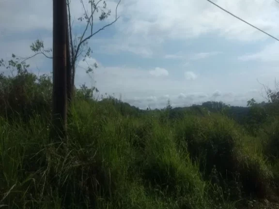 Imagem Área à venda em São Paulo - Colônia (zona Leste) com 110.080m² de área pura.