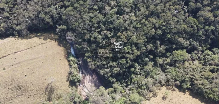 Imagem Fazenda à venda no bairro Rio do Peixe - Lagoinha/SP