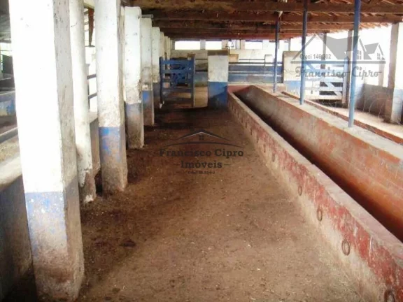 Imagem Fazenda-para-Venda-em-Vila-Sao-Miguel-Lorena-SP