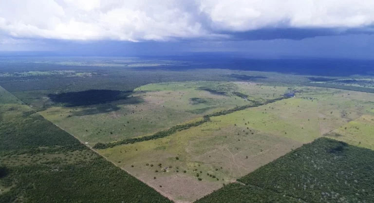Imagem Fazenda à Venda, 13.360.000 m² em Zona Rural - Santa Rita Do Tocantins