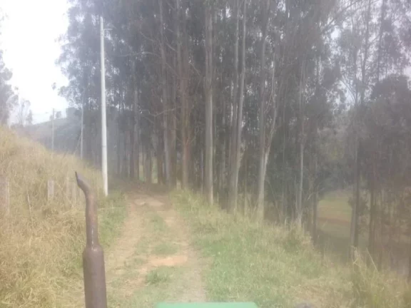 Imagem SÍTIO DE 21 HECTARES, COM CASA SEDE E DE CASEIRO. BOM SUCESSO - SÃO JOSÉ DOS CAMPOS/SP