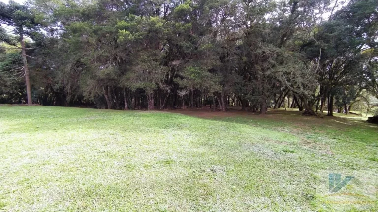 Imagem Terreno para Venda em São José dos Pinhais, Contenda, 2 dormitórios, 1 banheiro