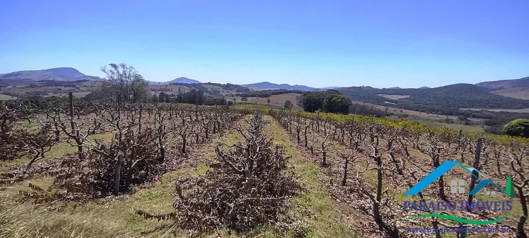 Imagem Propriedade Rural de Alto Padrão: Pronta para Produção e Investimento!