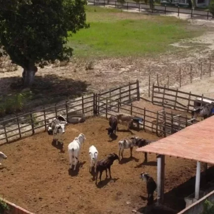 Imagem Terreno Comercial para Venda em Macaíba, Centro, 5 dormitórios, 5 suítes, 1 banheiro