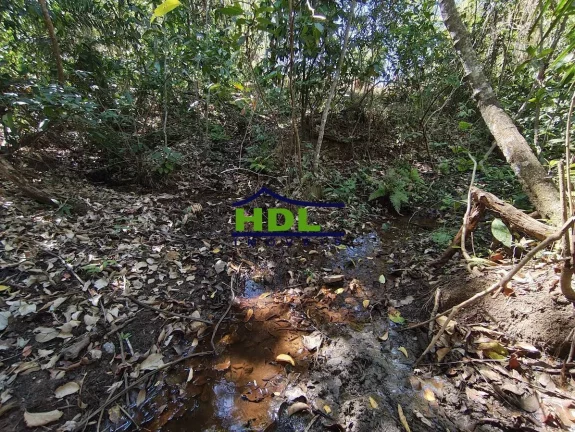 Imagem Chácara 3,1 Hectares com Córrego 90 kms de Goiânia