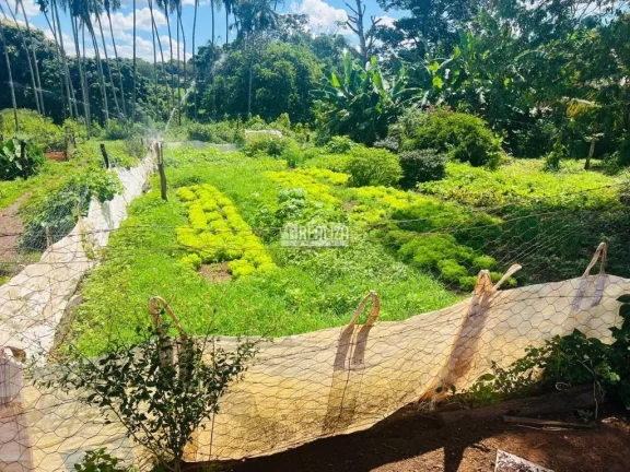 Imagem Oportunidade! Fazenda à venda em Conceição das Alagoas