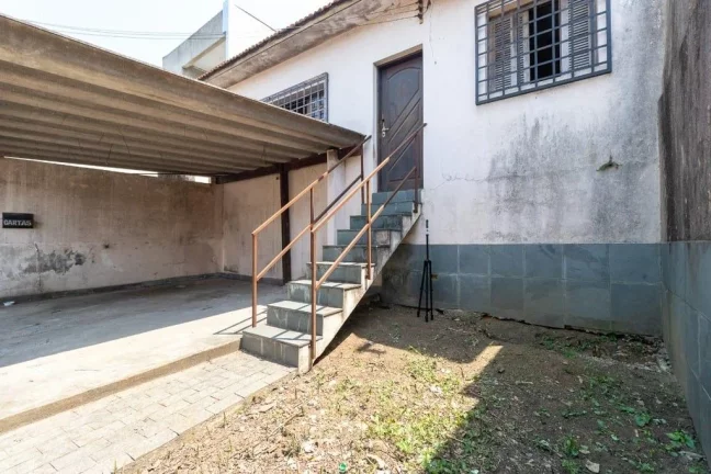 Imagem VDEG 116 Lote theremaxcollection-QYA3T