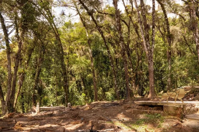 Imagem Terreno com 3132m a venda em Campos do Jordão