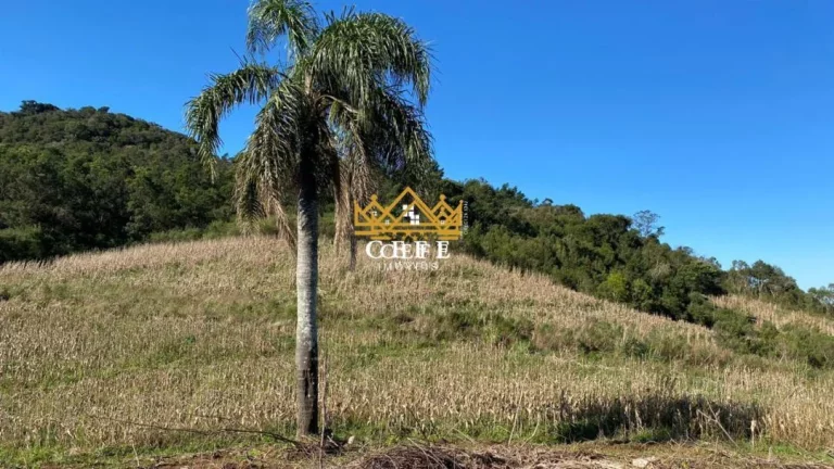 Imagem Chácara - Sítio com 2 Dormitorio(s) localizado(a) no bairro Serra Grande em Gramado / RIO GRANDE DO SUL Ref.:1350
