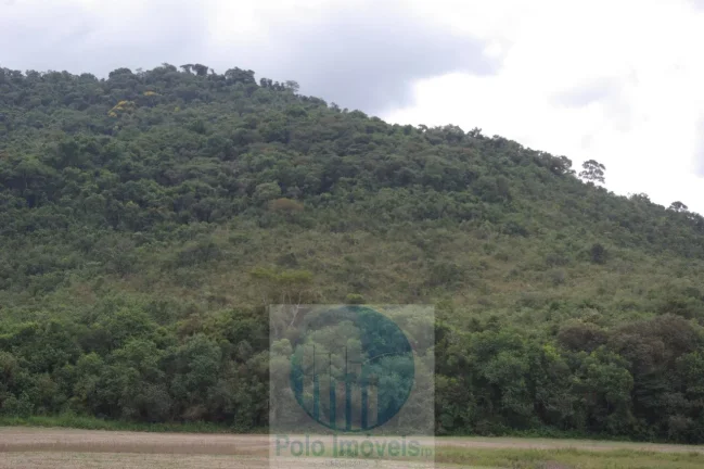 Imagem Sitio 8,23 alqueires ou 19,93 ha para compensação de Reserva, R$ 60 mil o alqueire - Jacuí - Minas Gerais.