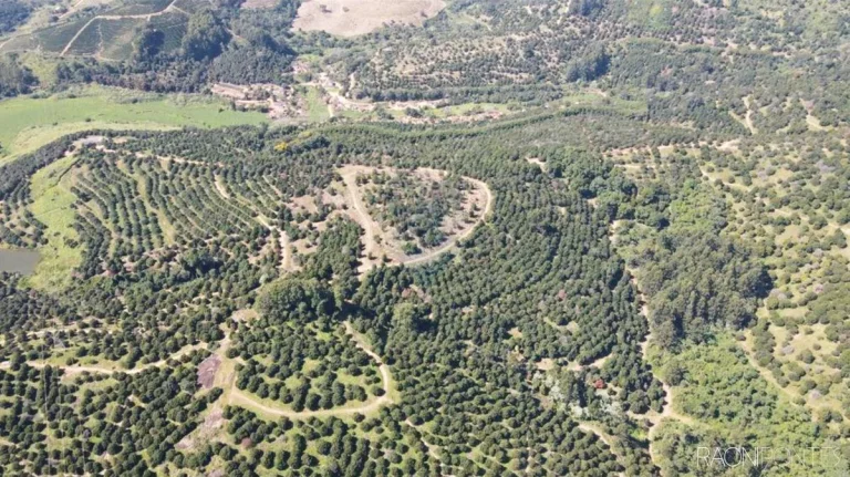 Imagem Fazenda à Venda, 6.220.000 m² em Zona Rural - São Sebastião Da Grama