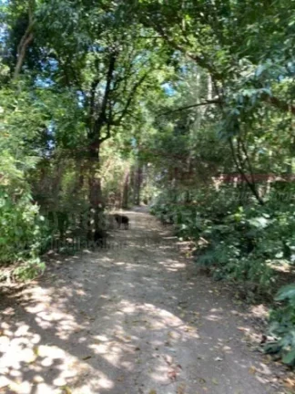 Imagem Sítio a venda em Porto Feliz, interior de São Paulo, próximo a Marechal Rondon,. Terreno: 90.000m...