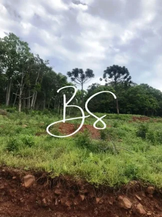 Imagem SITIO RURAL em NOVA PETRÓPOLIS - RS, Linha Pirajá Baixa
