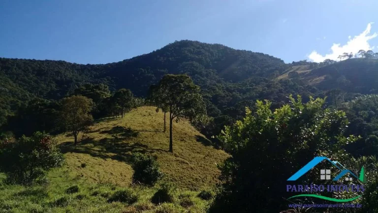 Imagem Área de Mata Compensação Ambiental ou Crédito de Carbono S. da Mantiqueira!