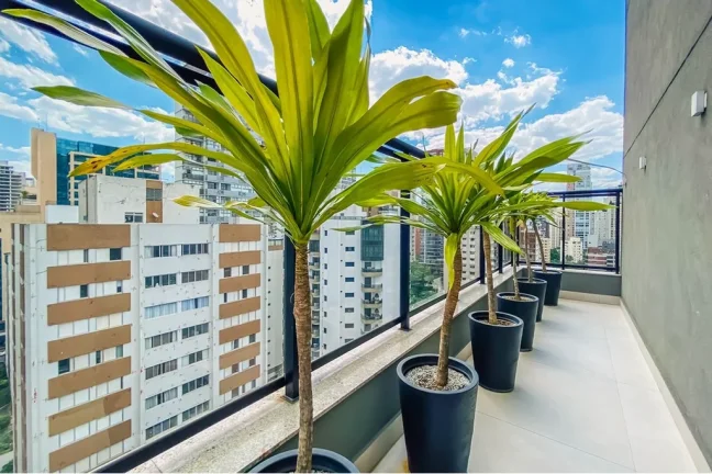 Imagem APARTAMENTO RESIDENCIAL em São Paulo - SP, Indianópolis