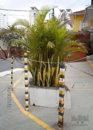 Imagem Loja para alugar, 79 m² por R$ 12.503,30/mês - Vila Leopoldina - São Paulo/SP