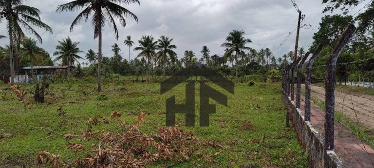 Terreno de 7.237m², à venda, totalmente cercado, localizado em Cruz de Rebouças, Igarassu - PE.