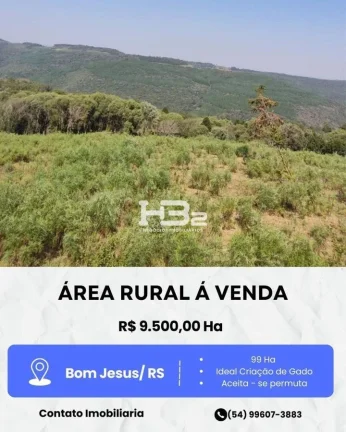 ÁREA A VENDA BOM JESUS DIVISA MONTE ALEGRE DOS CAMPOS RS