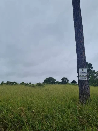 Imagem DOIS TERRENOS LOCALIZADOS NA CHÁCARAS REUNIDAS - PILAR DO SUL - SP