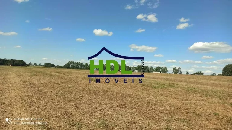 Imagem 28 alqs com 24,5 alqs em Soja.