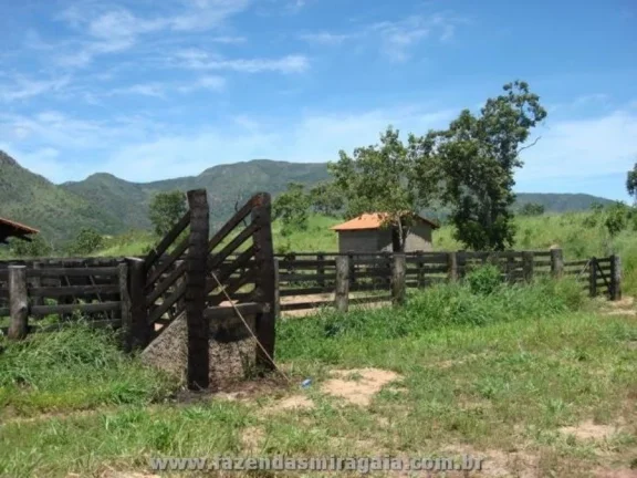 Imagem Fazenda para Venda por R$16.000.000,00 - Monte alegre, Goiania / GO - Cód. BDI24609