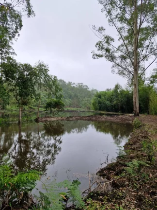 SÍTIO COM LAGO PARA PESCA NO BAIRRO RIO BONITO - TAPIRAÍ - SP
