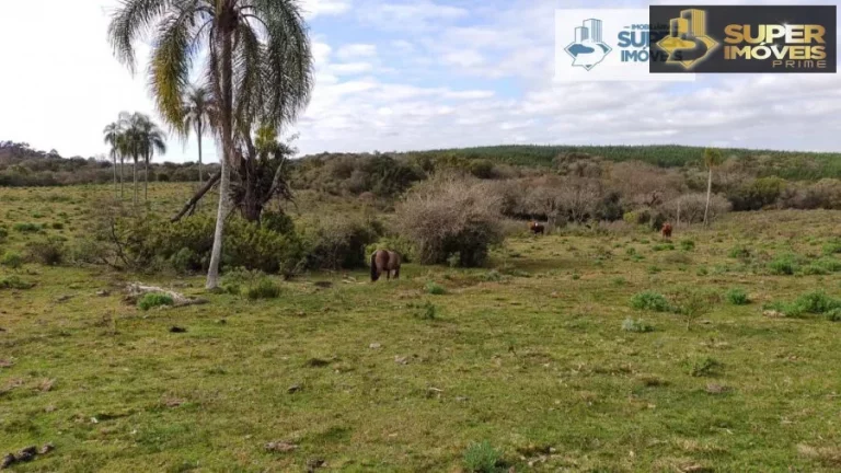Fazenda para Venda em Canguçu-RS