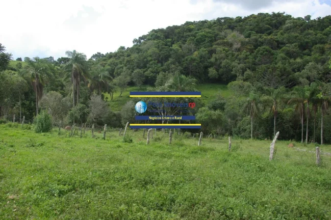 Imagem Sítio 14 alqueires com estrutura, casa, água e energia, R$ 90.000,00 valor do alqueire - Jacuí - Minas Gerais