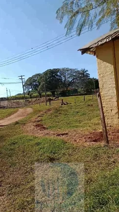 Imagem Fazenda Palmira 773 alqueires, a 60 km de Ribeirão Preto - SP, estrutura, cana e muita água - Serra Azul - SP - Brasil