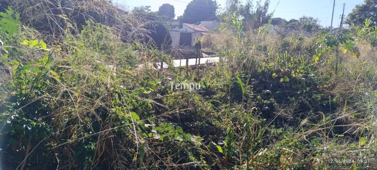 Imagem 2 Lotes juntos total de 859 metros prox a futuro park no setor Maysa
