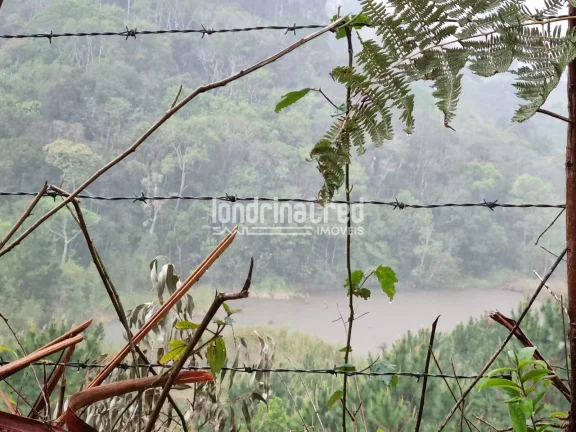 Imagem Chácara à venda 744000M², Zona Rural, Castro - PR