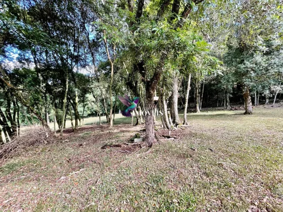 Imagem Chácara à venda no bairro Ana Rech - Caxias do Sul/RS