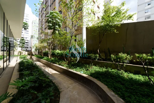 Imagem Conjunto Comercial para Alugar em Cerqueira César - São Paulo/SP.