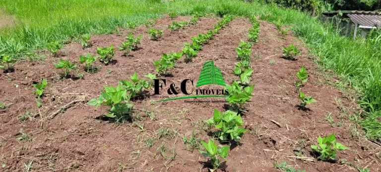 Imagem Terreno para Venda em Piracicaba, Área Rural de Piracicaba