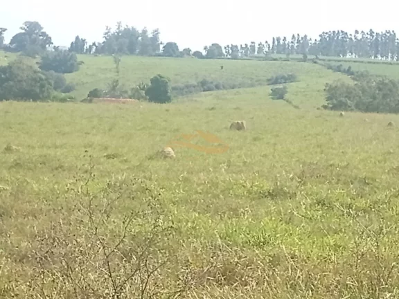 Imagem SITIO RURAL em TIETÊ - SP, rural