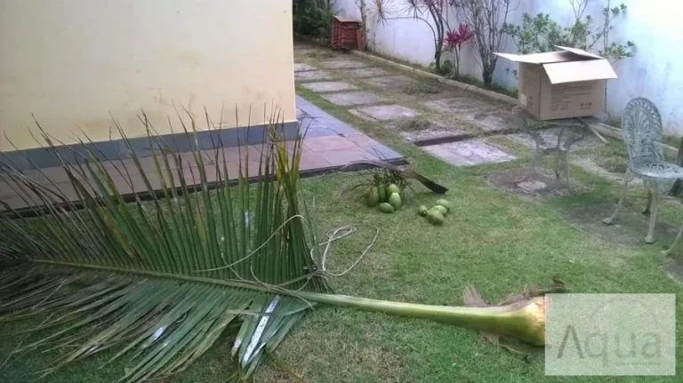 Imagem Casa para Temporada em Itanhaém, Parque Augustus, 3 dormitórios, 2 suítes, 3 banheiros, 3 vagas