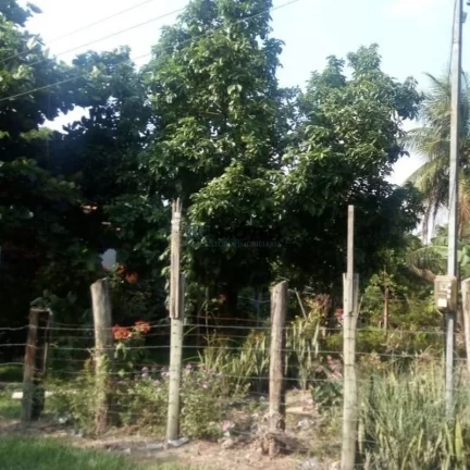 Imagem Terreno a Venda no bairro Guaxindiba - São Gonçalo, RJ