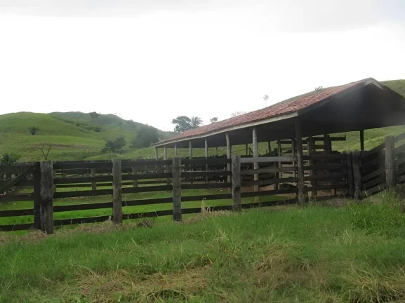 Imagem Fazenda a venda em Pontes e Lacerda - MT