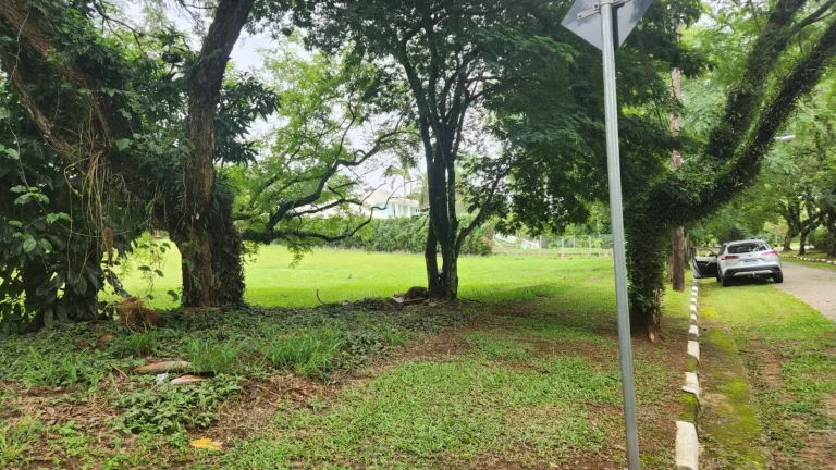 Imagem ? Lote de 3.070 m² no Condomínio City Castelo