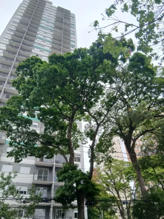 Imagem ALUGO LINDO APARTAMENTO DE 01 DORMITÓRIO NO BAIRRO CAMPO BELO!