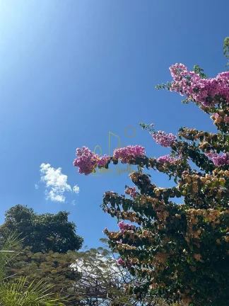 Imagem Venda  Apartamento no Eloy Chaves  Jundiaí/SP