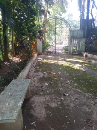 Imagem ???? "Um sítio DENTRO da cidade? Com 5 casas prontas e a 5 MINUTOS da represa!"