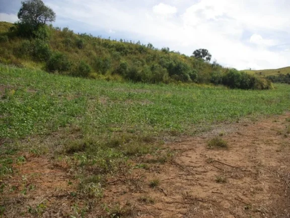 Imagem SÍTIO À VENDA 43,56 HECTARES R$ 1.900.000 - ZONA RURAL - JACUI/MG