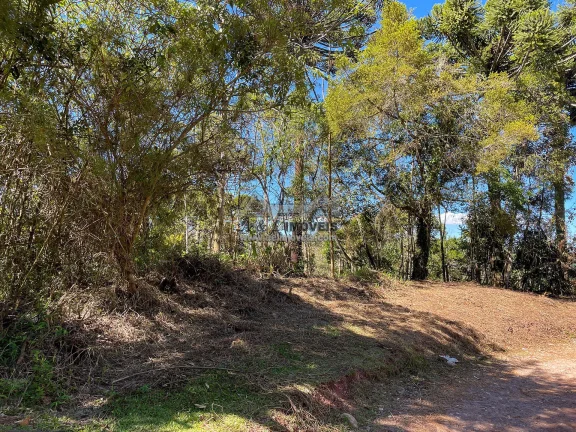 Imagem Terreno à venda em Campos do Jordão - Excelente opção para investimento
