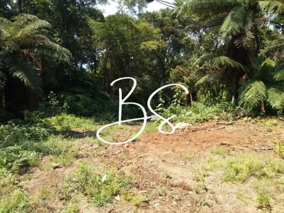 Imagem CHACARA RURAL em IGREJINHA - RS, Serra Grande