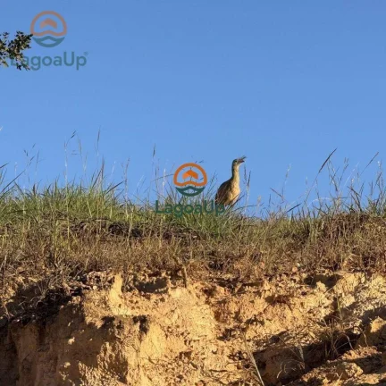 Imagem Terreno à venda, 1002 m² por R$ 598.000,00 - Condomínio Terra Vista - Lagoa Santa/MG