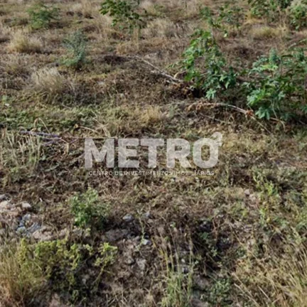 Terreno à venda no Loteamento Recife, 200m, rua asfaltada, PETROLINA - PE